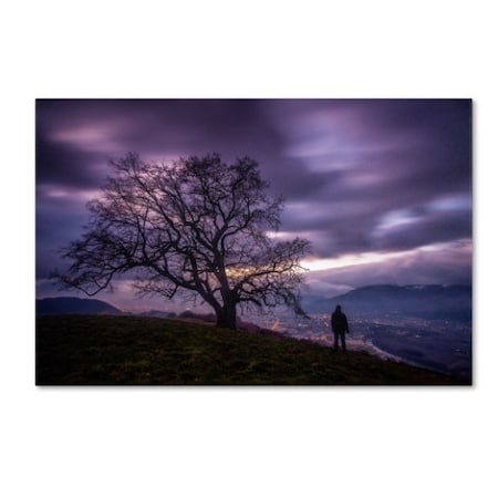 Mathieu Rivrin 'The Tree Of Love Grenoble' Canvas Art,12x19
